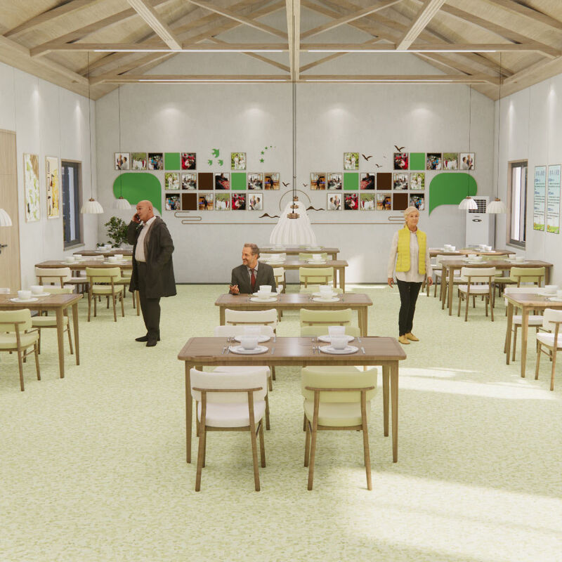 Ανθεκτικό σε κρούσεις ομογενές δάπεδο με επιφάνεια κατά των γρατσουνιών για δωμάτια ασθενών οίκων ευγηρίας