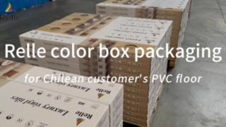 Συσκευασία κουτιού χρώματος Relle για πάτωμα Pvc πελάτη της Χιλής
